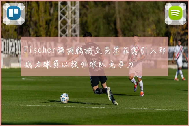 Fischer强调鹈鹕交易墨菲需引入即战力球员以提升球队竞争力